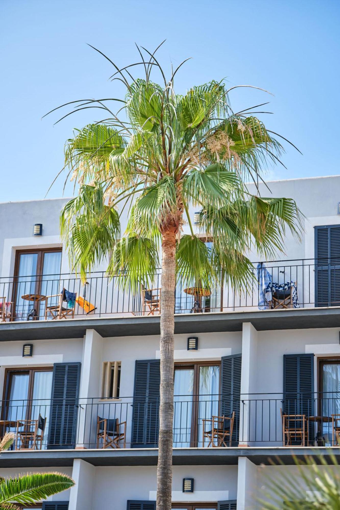 Hotel Boutique Bon Repos - Adults Only Santa Ponsa Kültér fotó
